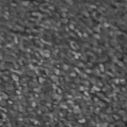 Tissu gris anthracite n°122
