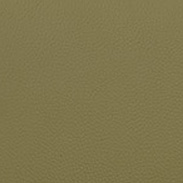cuir vert
